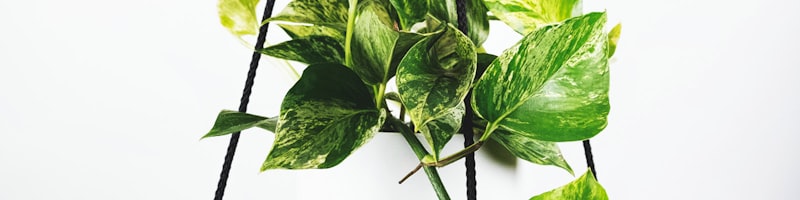 2026年世界杯赛程日历可视化图表